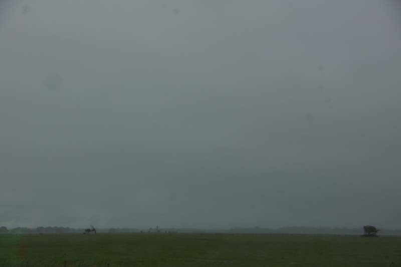 IMGP8418