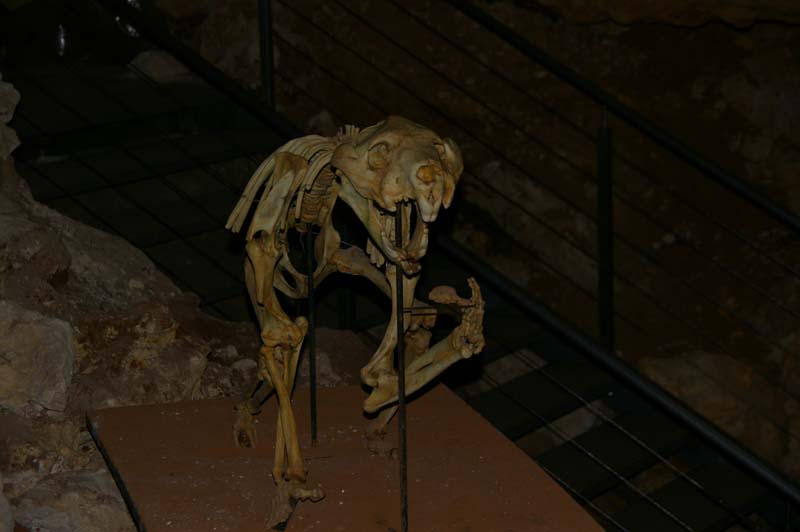 IMGP8527