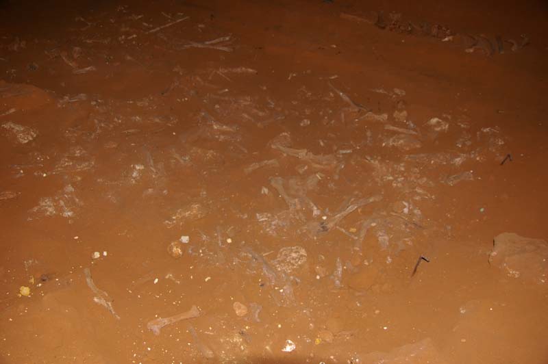 IMGP8534