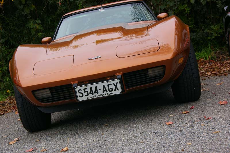 IMGP7382