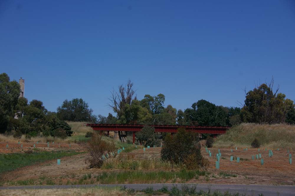 IMGP1747
