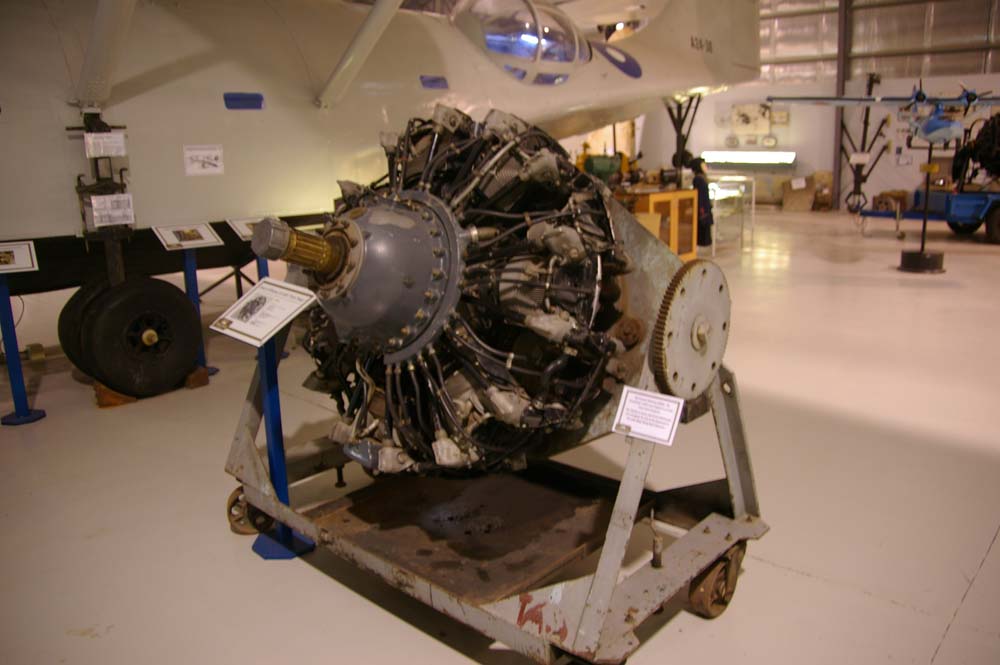 IMGP2975