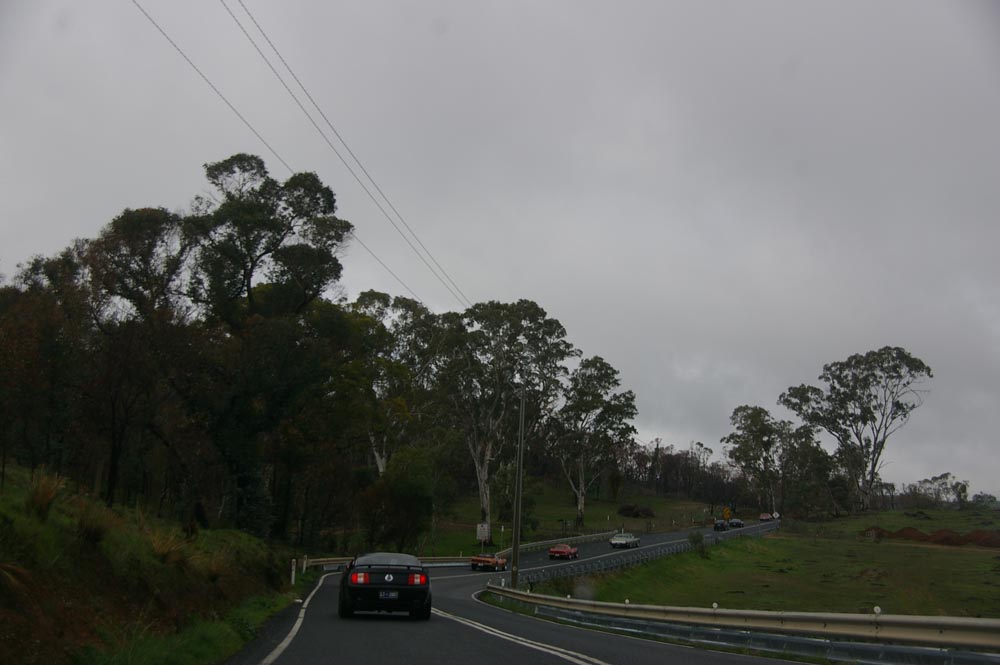 IMGP4628