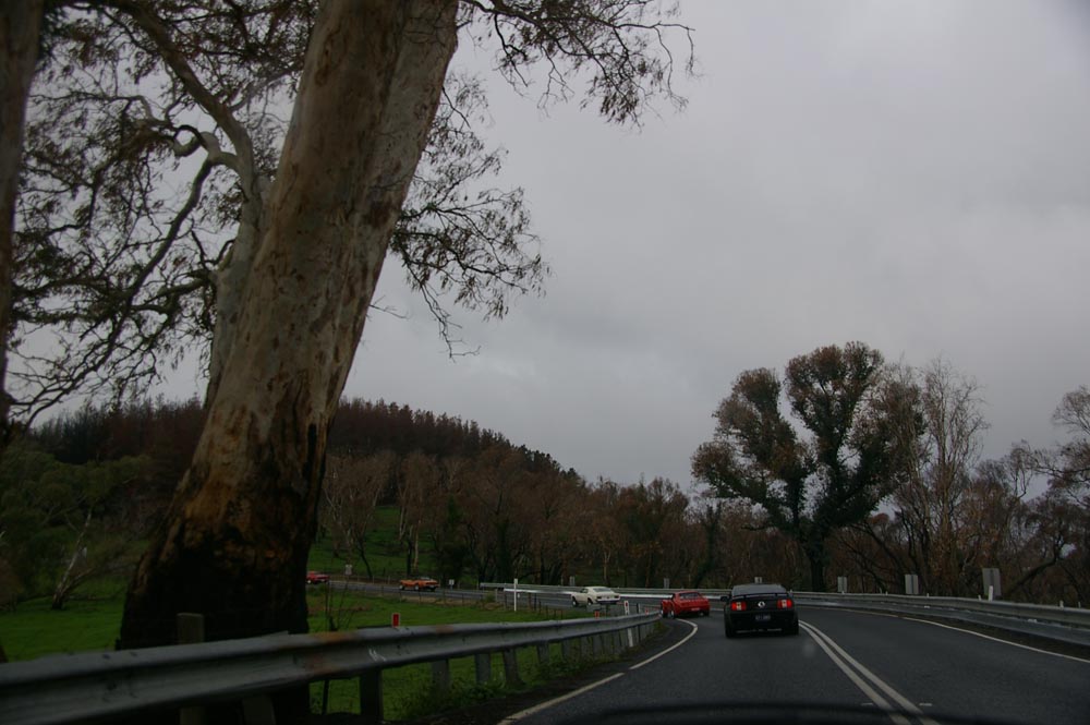 IMGP4638