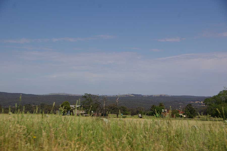 IMGP5595