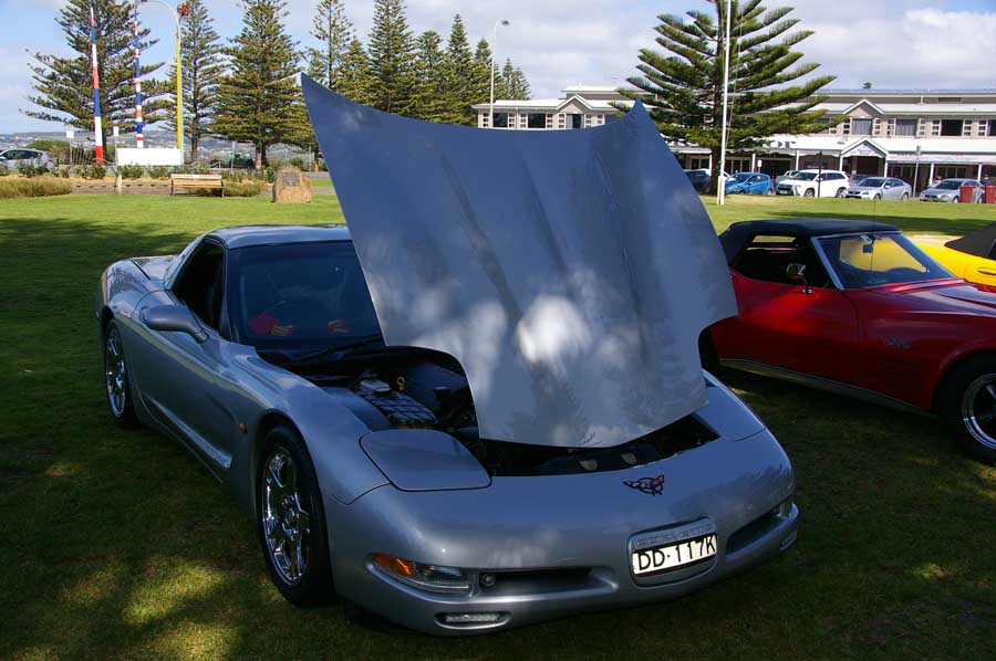 IMGP4681
